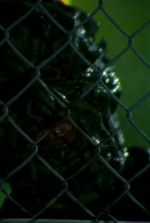 Jason Hopley