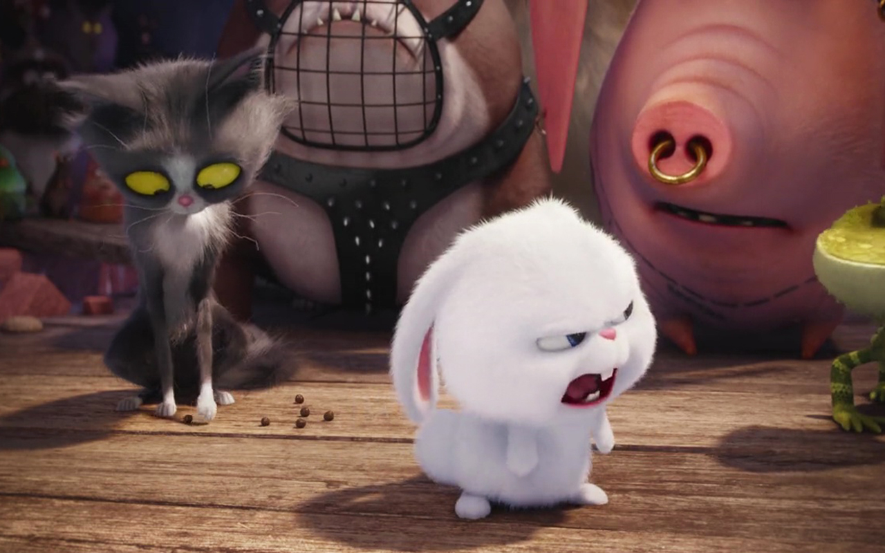 Snowball