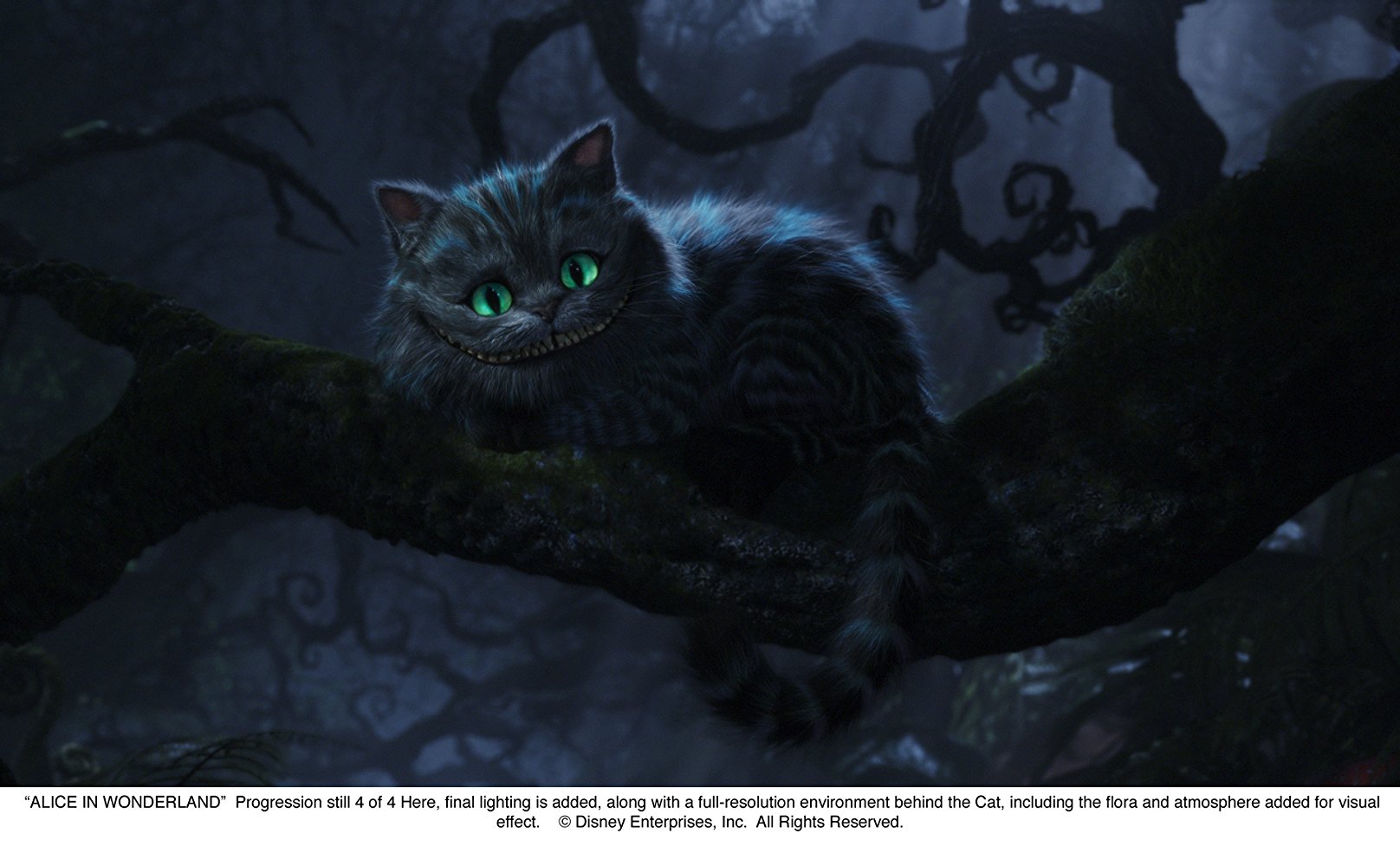 The Cheshire Cat