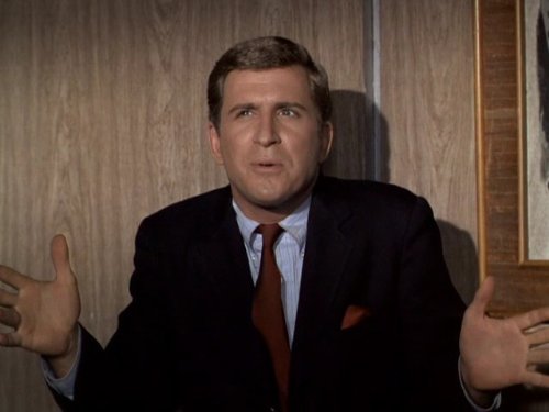 Ted Bessell