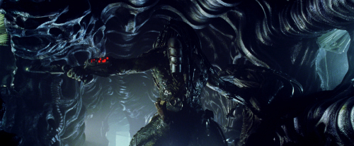 The Predator