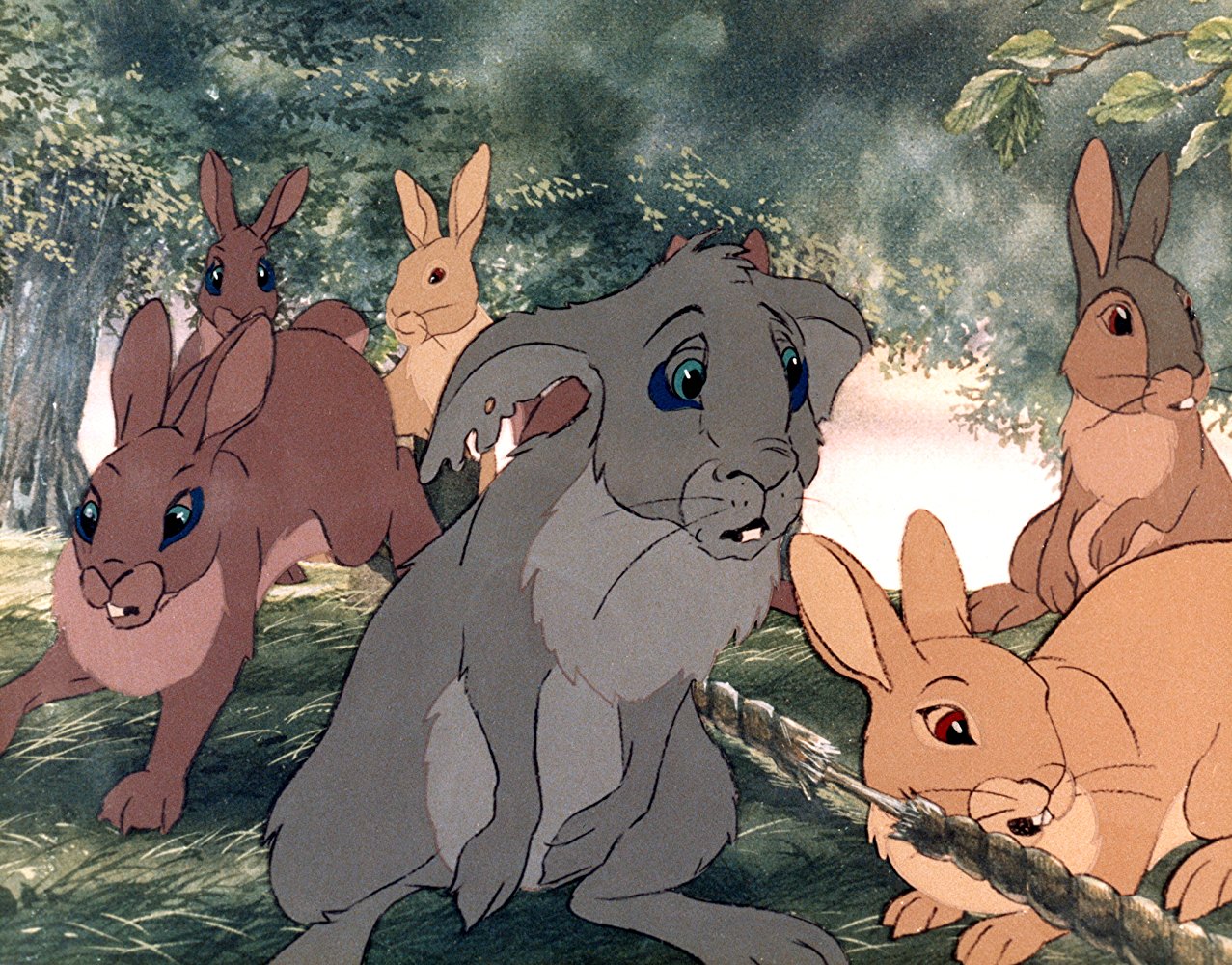 Chief Rabbit