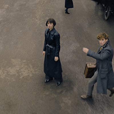 Newt Scamander