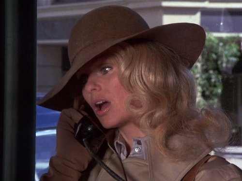 Lynda Day George