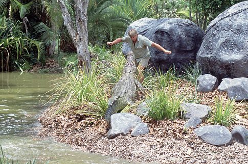 Steve Irwin