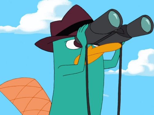 Perry the Platypus