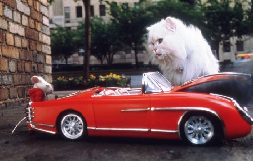 Snowbell
