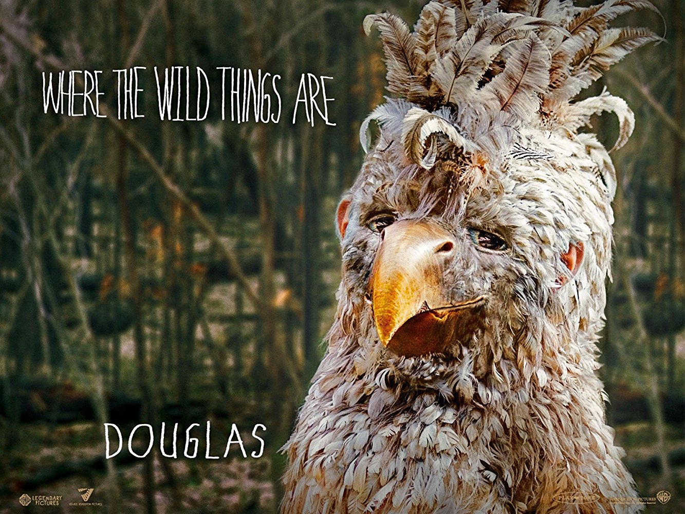 Douglas
