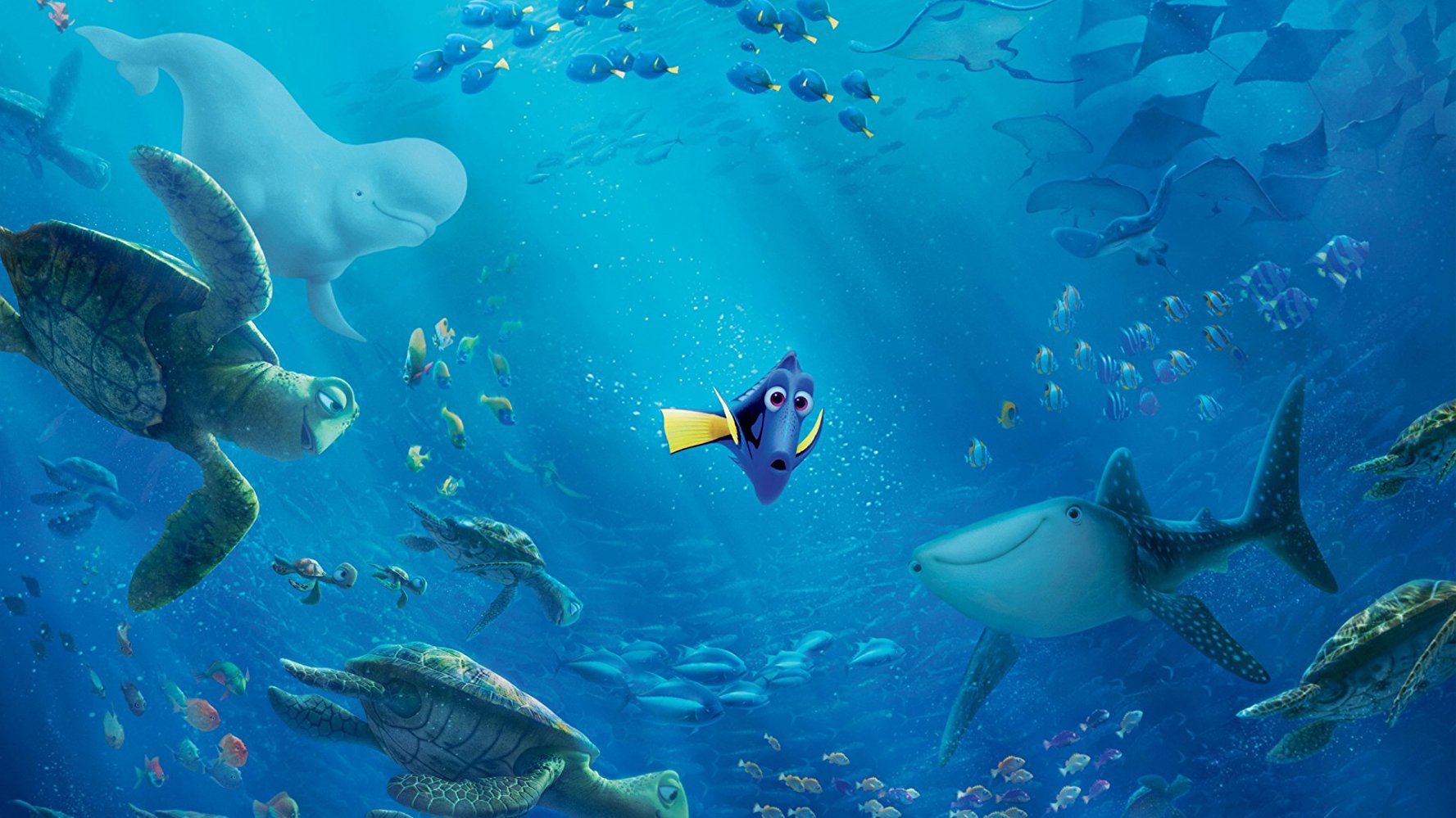 Dory