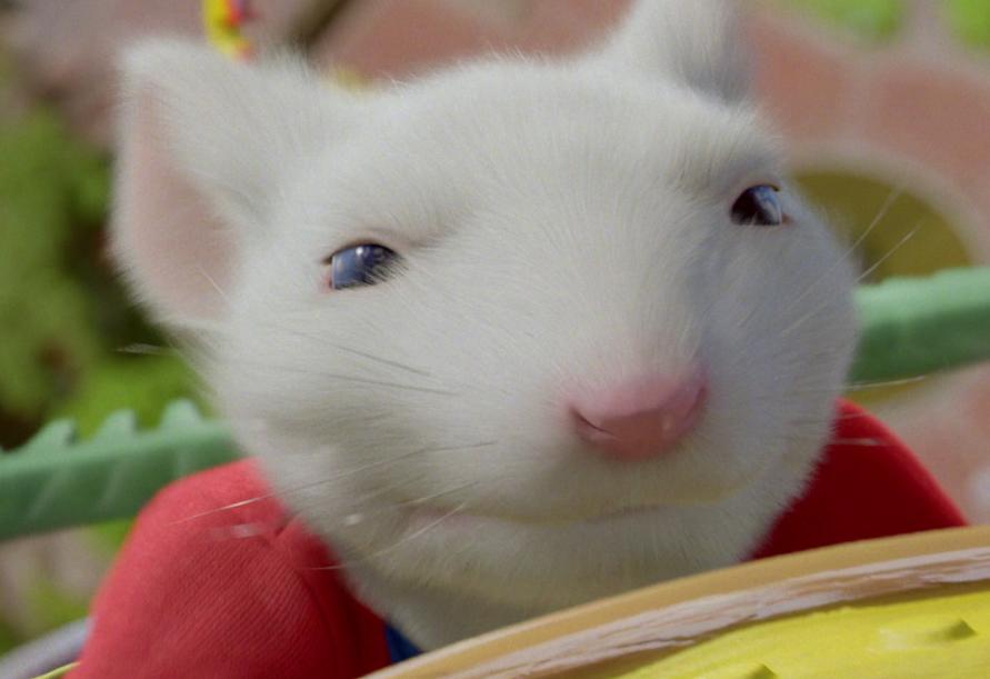 Stuart Little