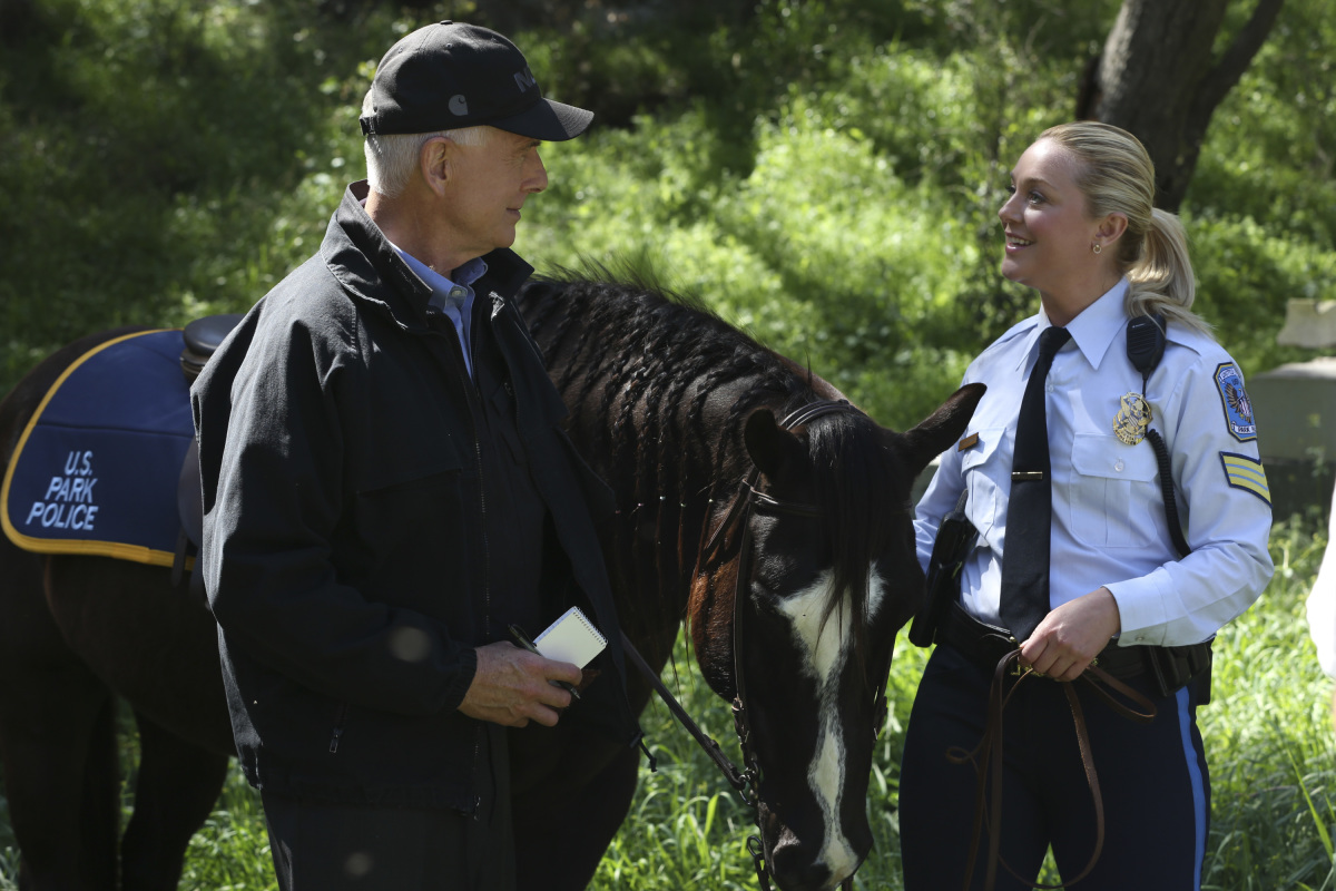 Mark Harmon
