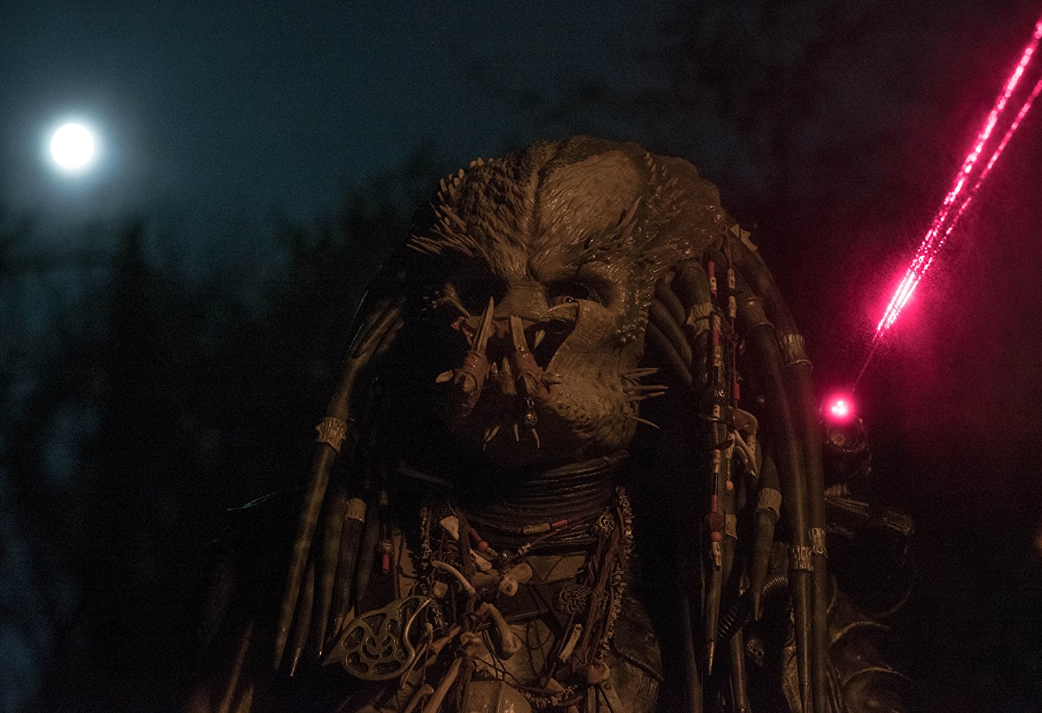 The Predator