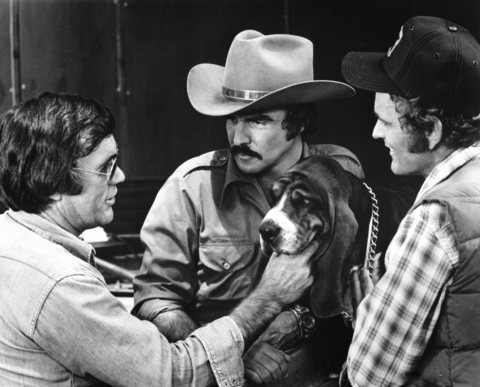 Bandit