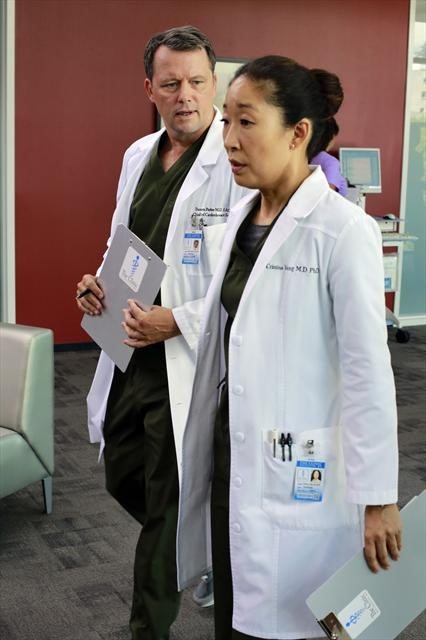 Dr. Cristina Yang