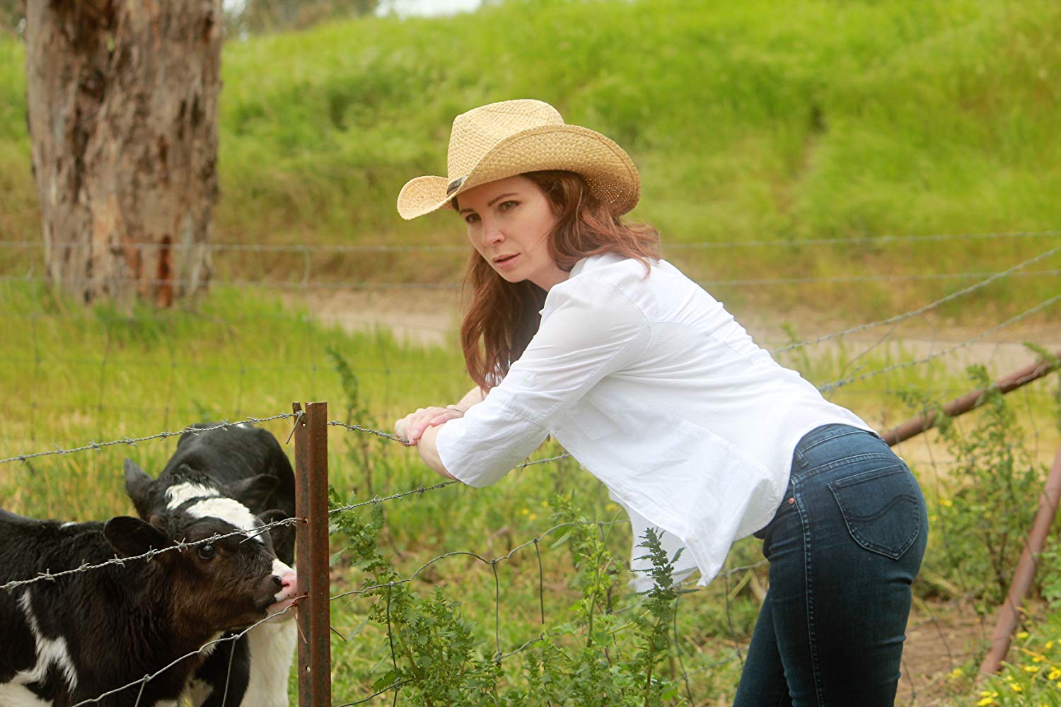 Jodi Haigh