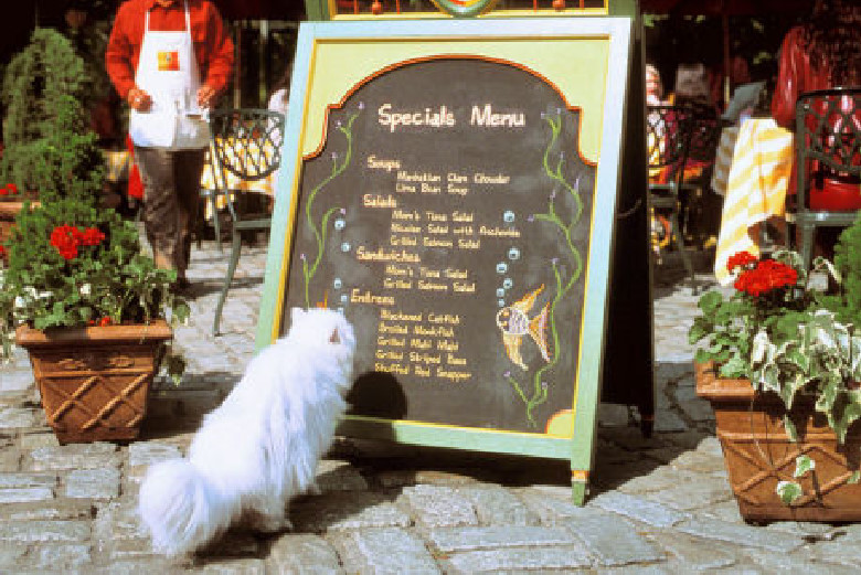 Snowbell
