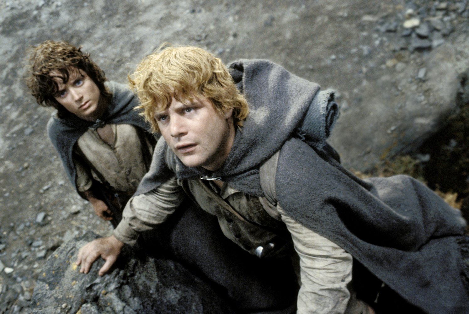 Samwise Gamgee
