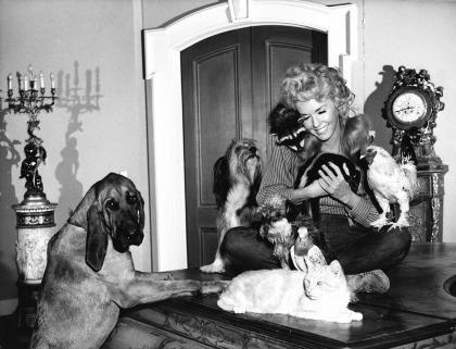 Elly May Clampett