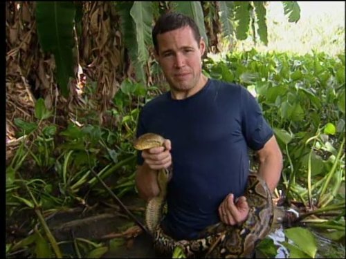 Jeff Corwin
