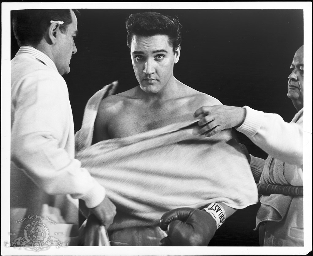 Gig Young