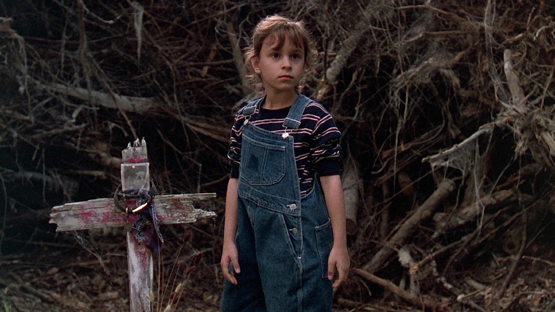 Ellie Creed