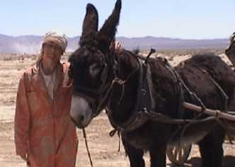 Jake M. Smith