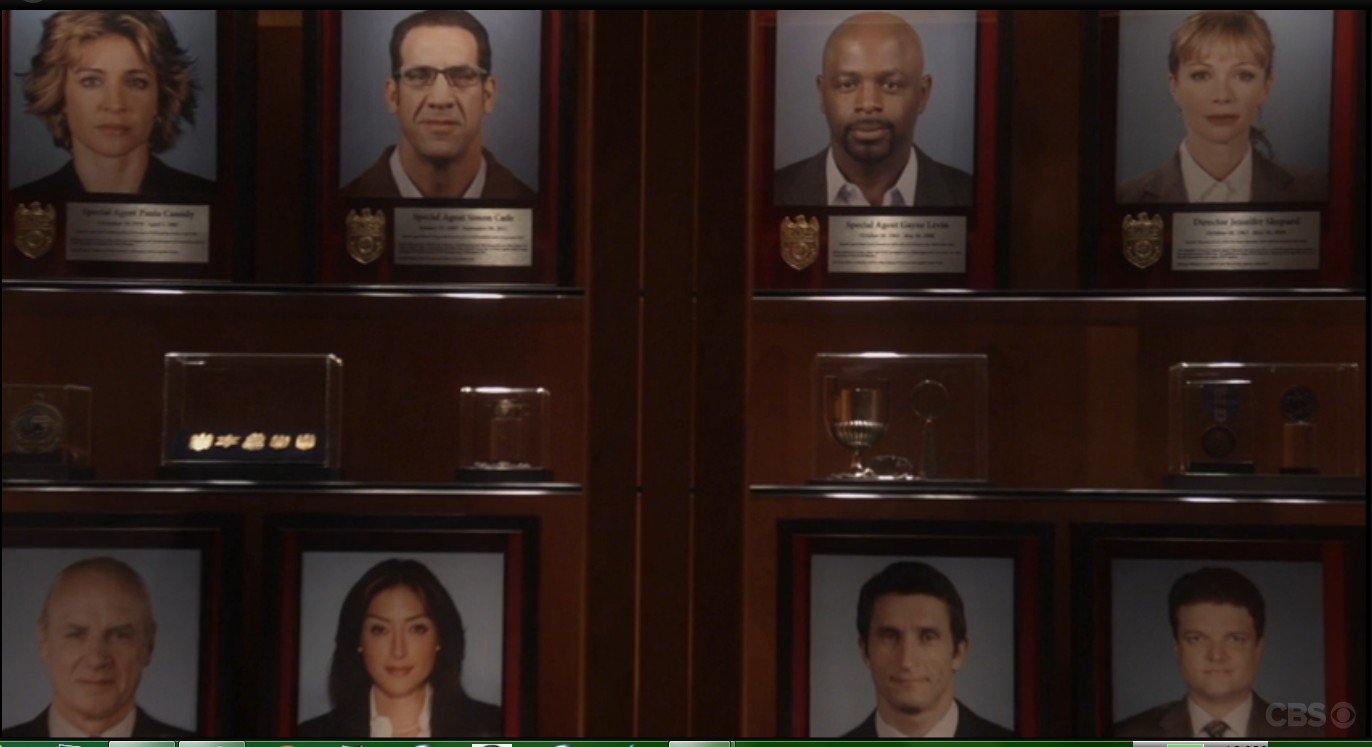 NCIS Special Agent Paula Cassidy