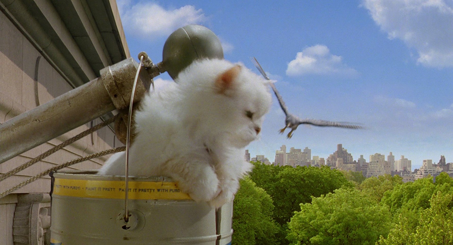 Snowbell