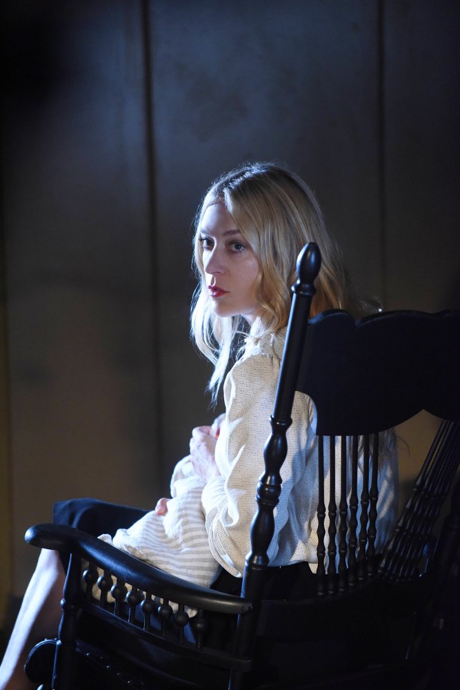 Chloë Sevigny