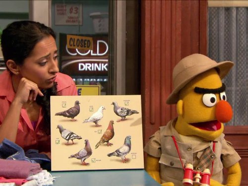 Bert