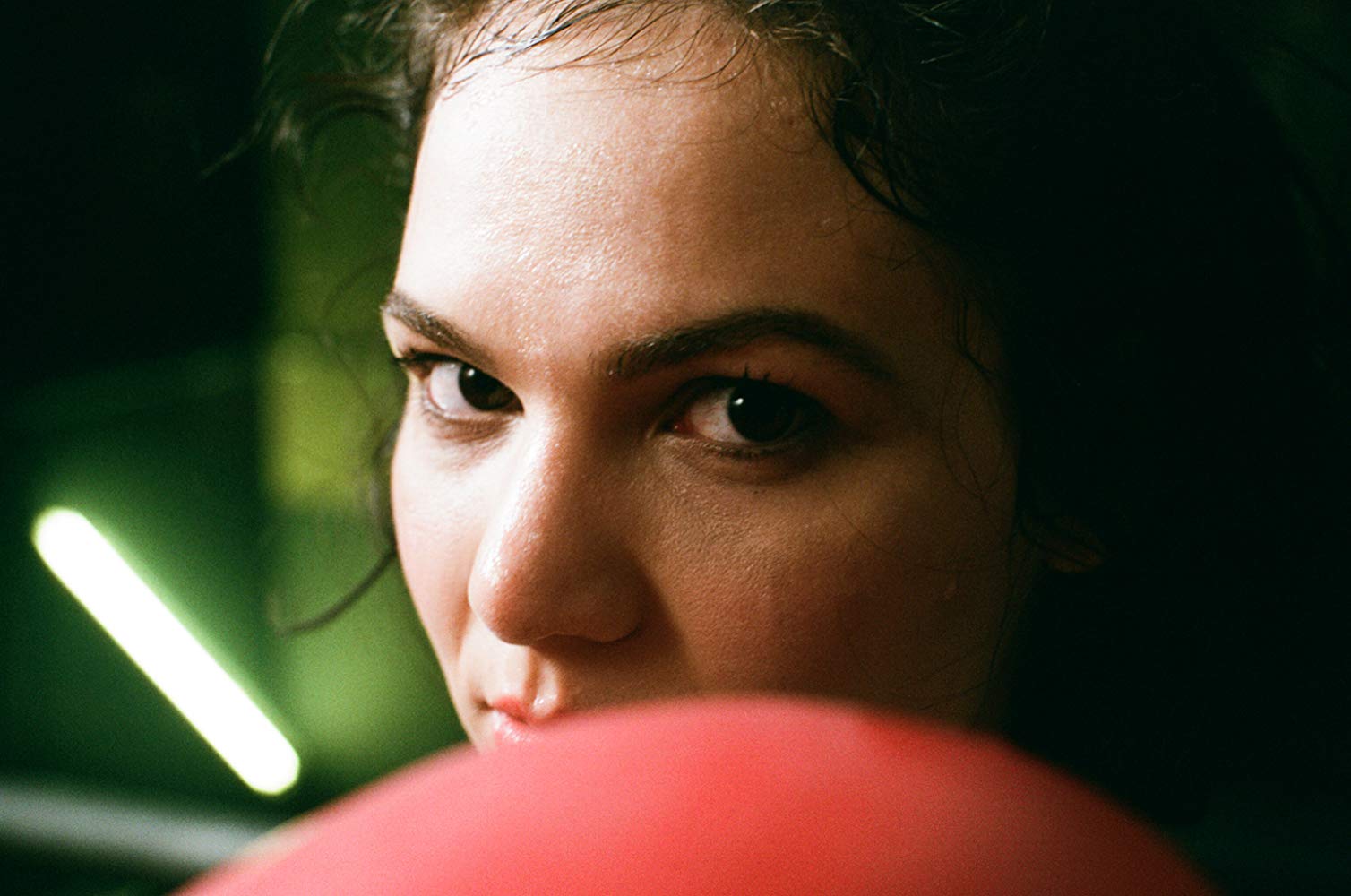Diana Alexandra Pocol