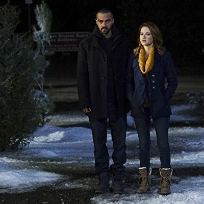 Dr. April Kepner