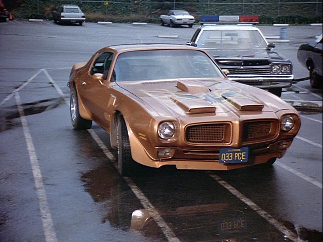Officer Frank 'Ponch' Poncherello