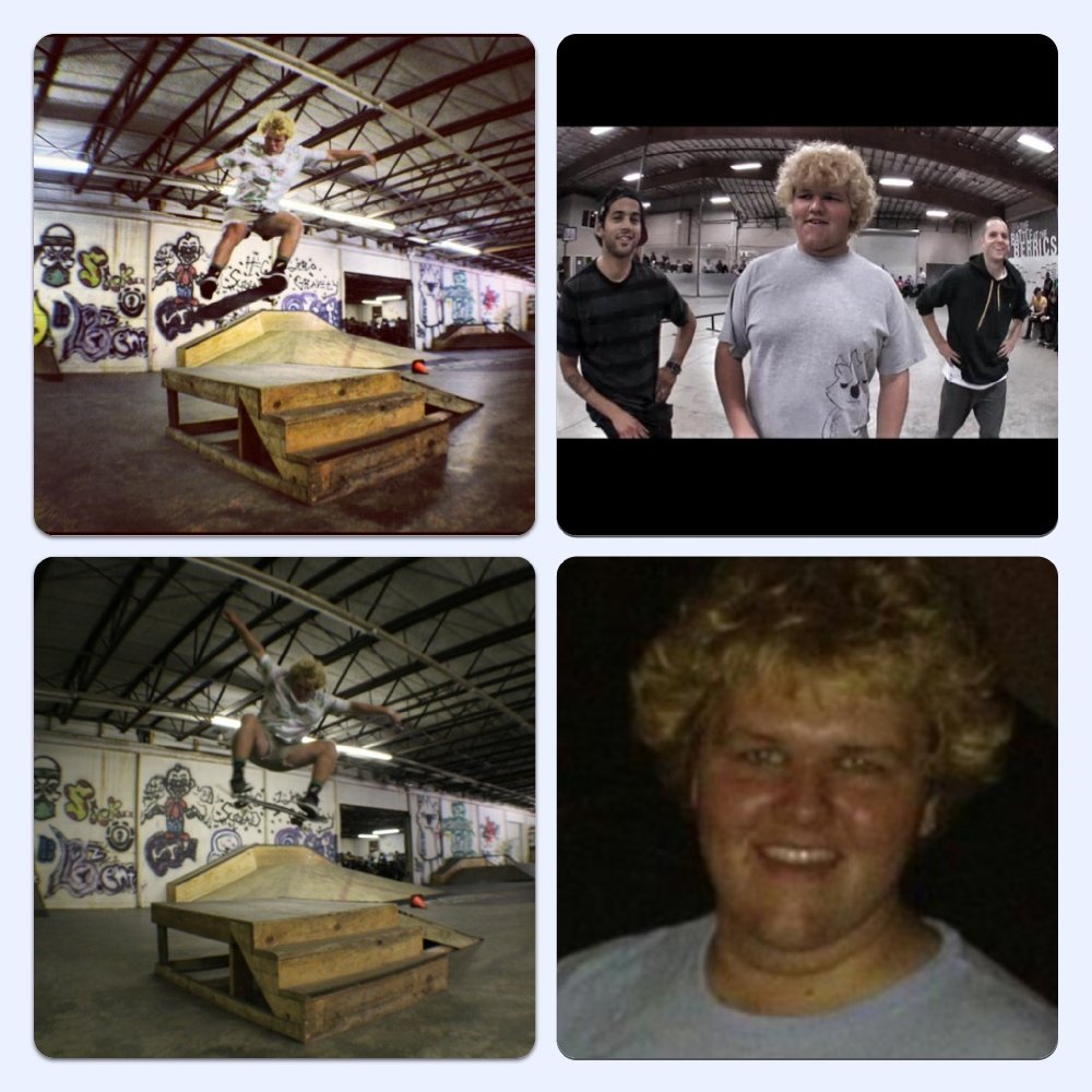 Bo Mitchell