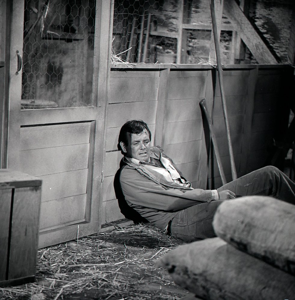 David Janssen