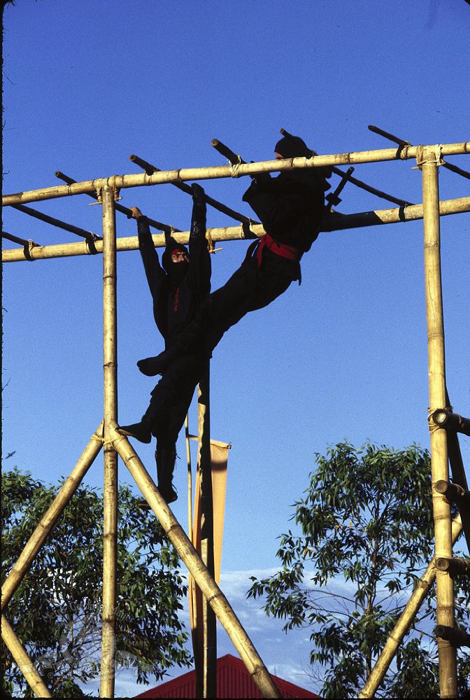 Michael Dudikoff