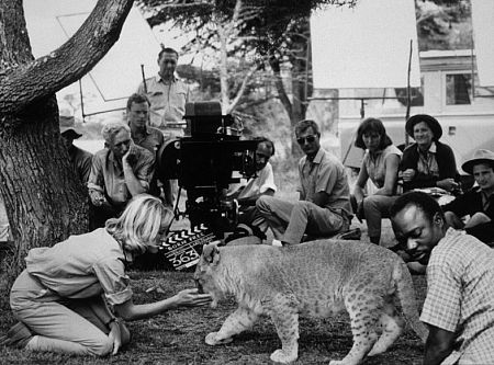 Virginia McKenna