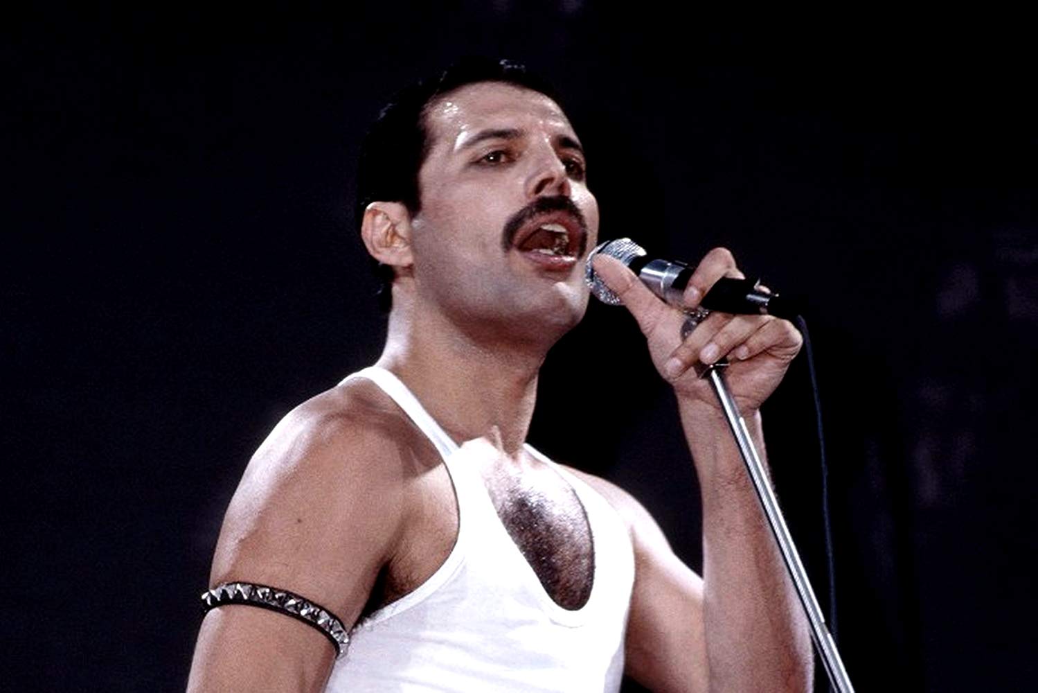 Freddie Mercury