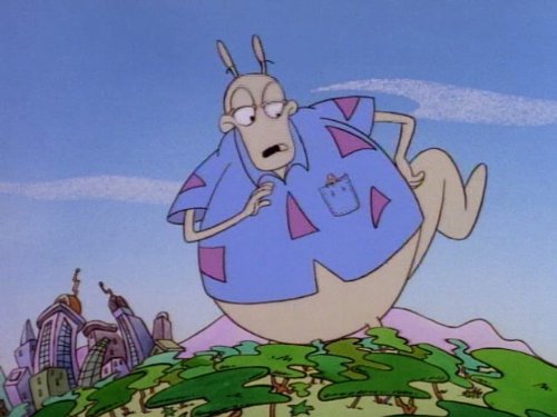 Rocko