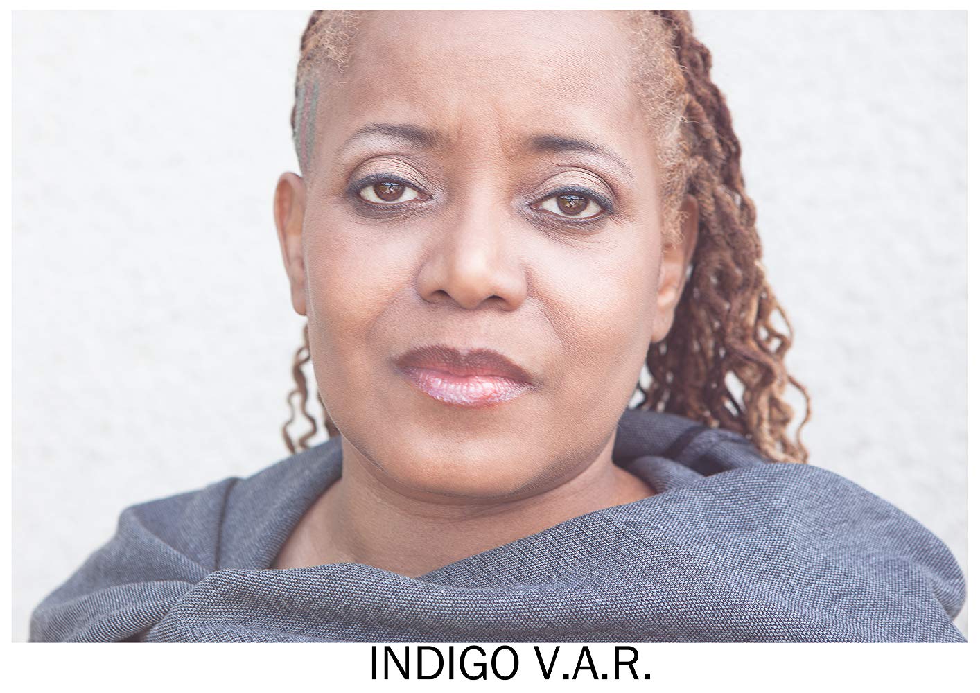 Indigo V.A.R.