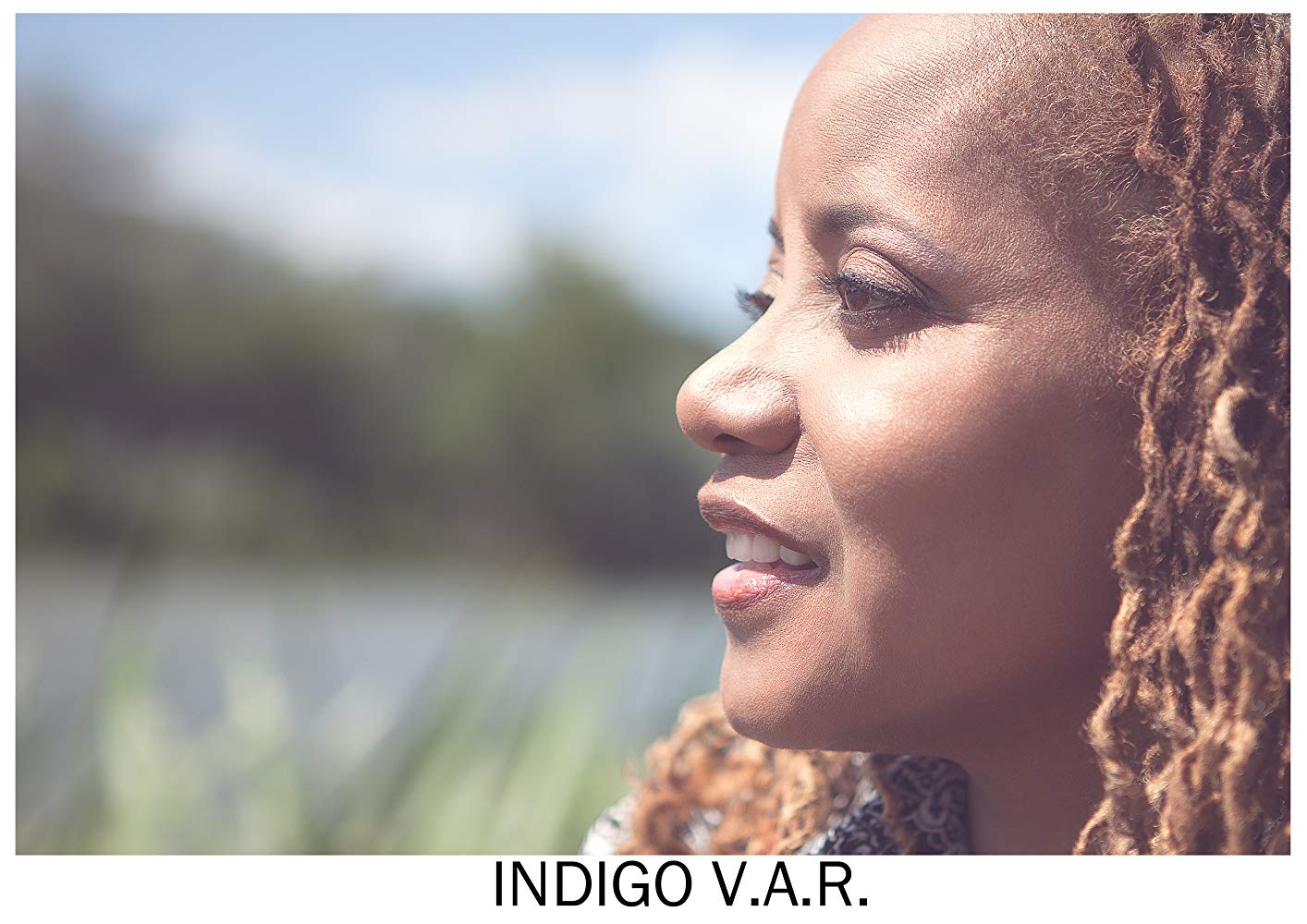 Indigo V.A.R.