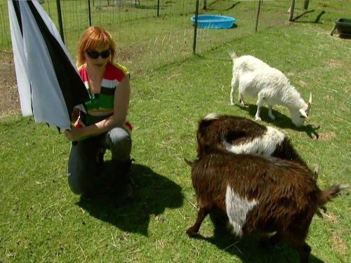 Kari Byron