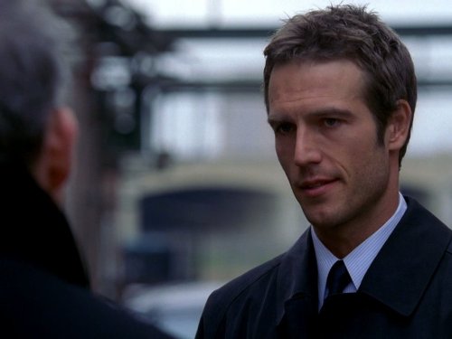 Michael Vartan