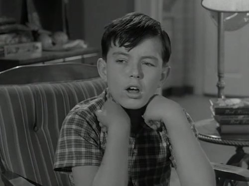 Theodore 'Beaver' Cleaver