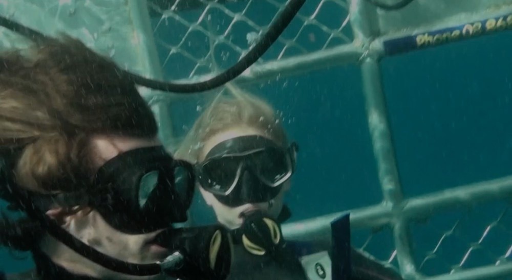 Josh Miller