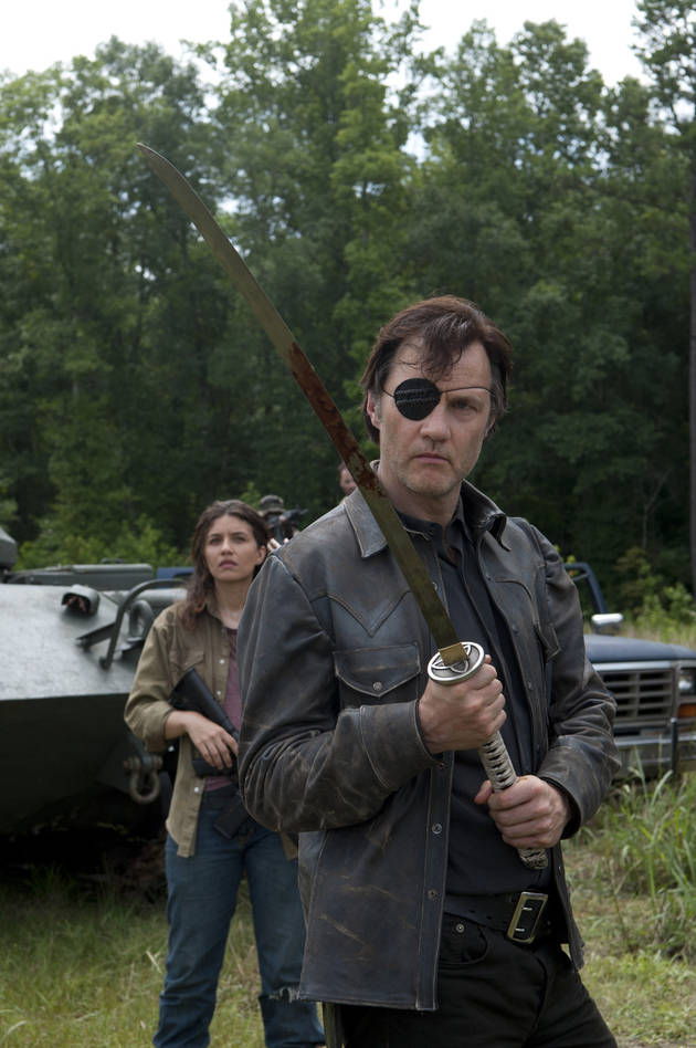 The Governor
