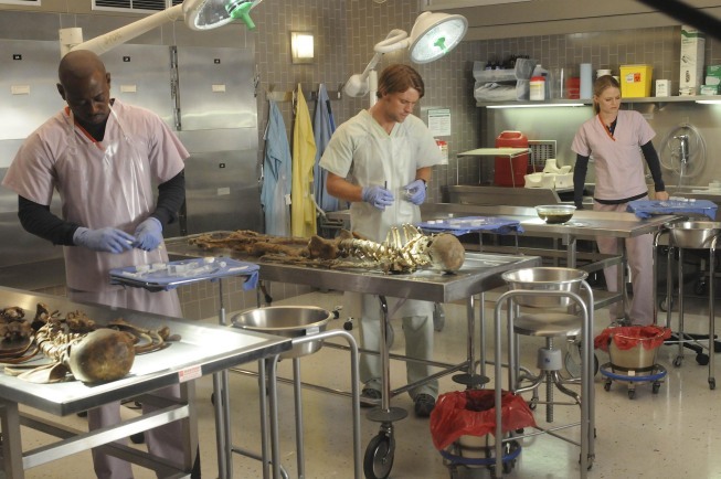 Dr. Allison Cameron