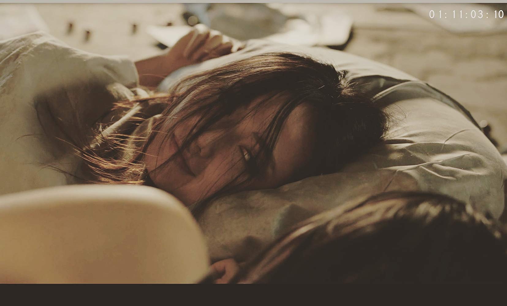 Shudan Wang