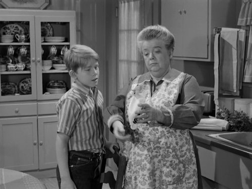 Frances Bavier
