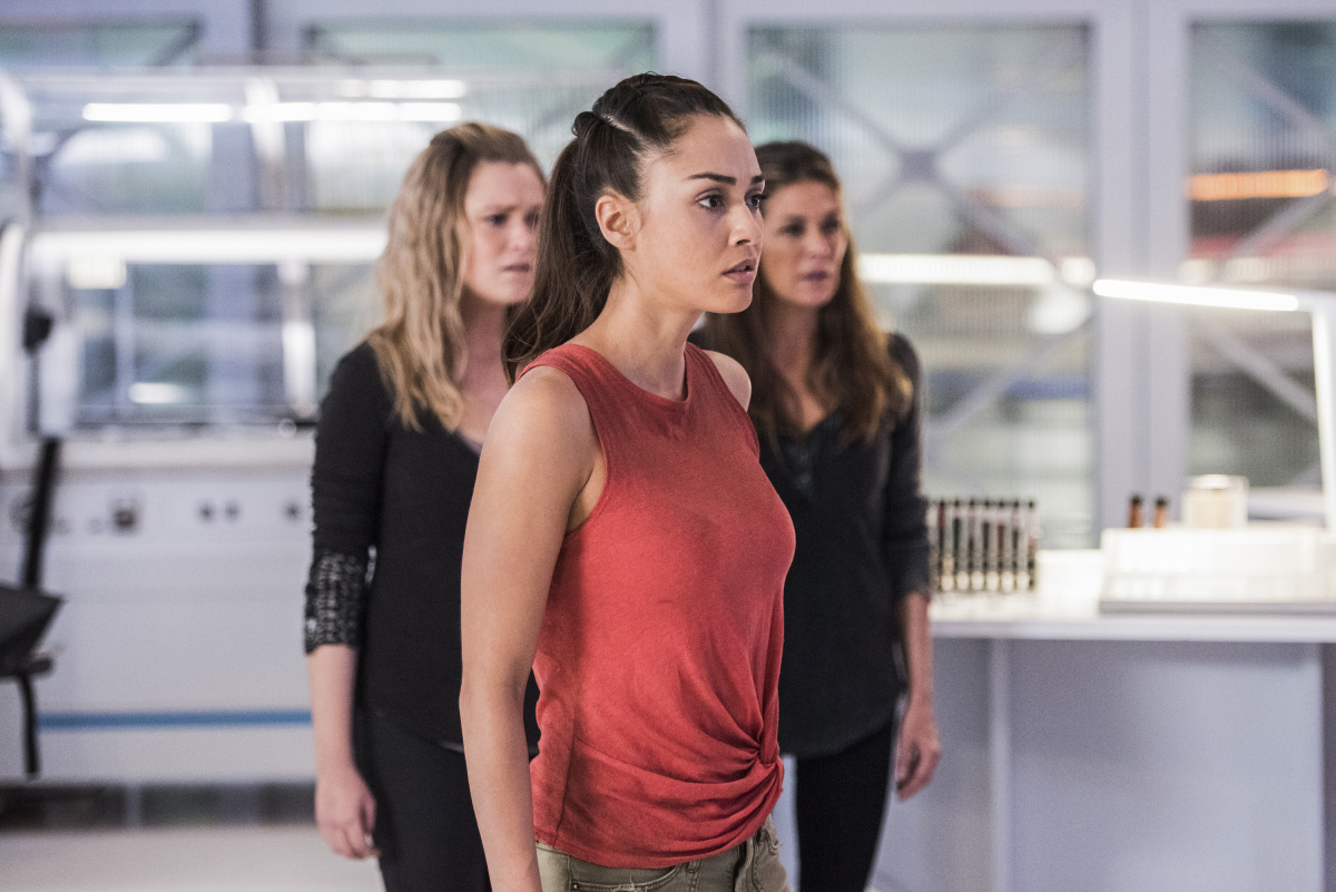 Paige Turco